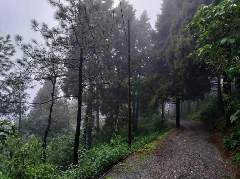 The Hill Story, Entire Chalet, Offbeat,Cozy Mussoorie Buitenkant foto