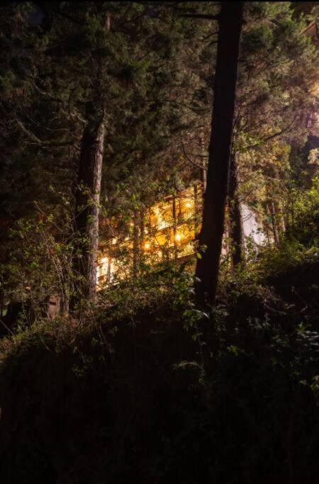 The Hill Story, Entire Chalet, Offbeat,Cozy Mussoorie Buitenkant foto