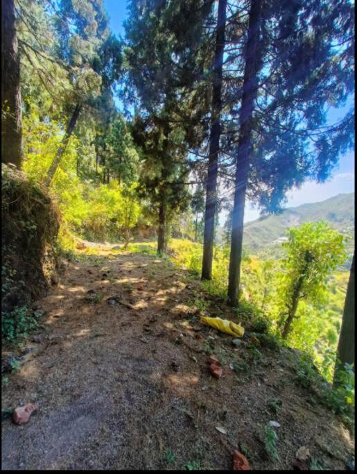 The Hill Story, Entire Chalet, Offbeat,Cozy Mussoorie Buitenkant foto