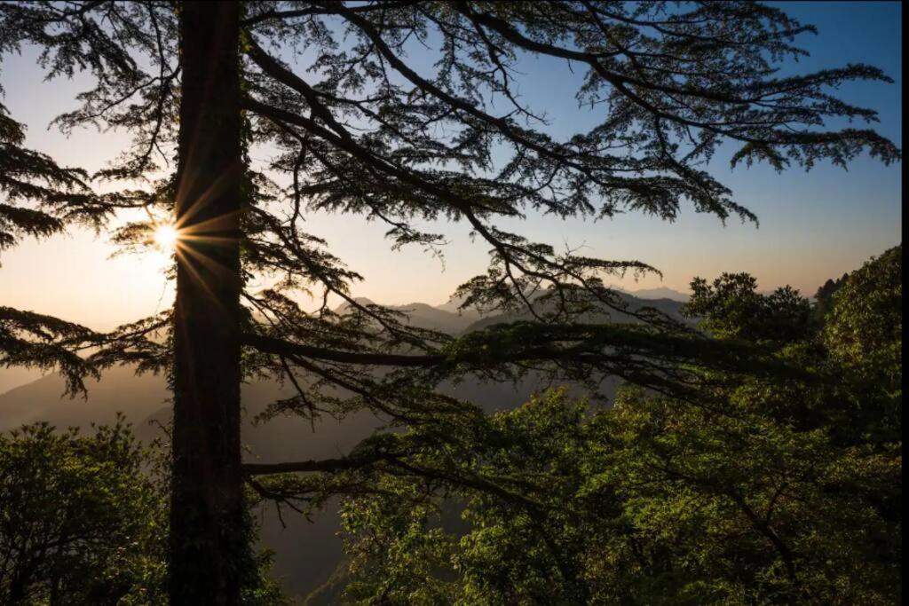 The Hill Story, Entire Chalet, Offbeat,Cozy Mussoorie Buitenkant foto
